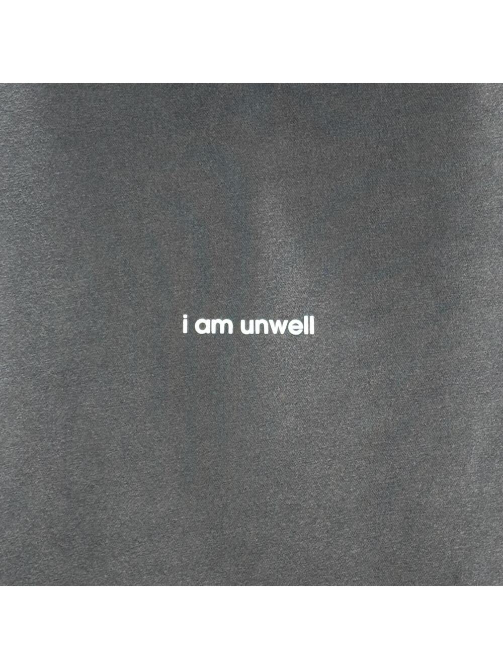Call Her Daddy “I Am Unwell” Grey Hoodie - L - Picture 2 of 7